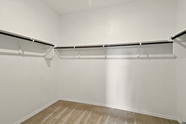 112 Black Alder St, Georgetown, TX 78626 - spacious closet featuring light colored carpet