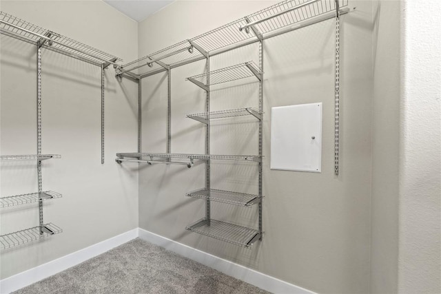 1017 Sue Ann Rose Dr, Austin, TX 78717 - walk in closet with carpet floors
