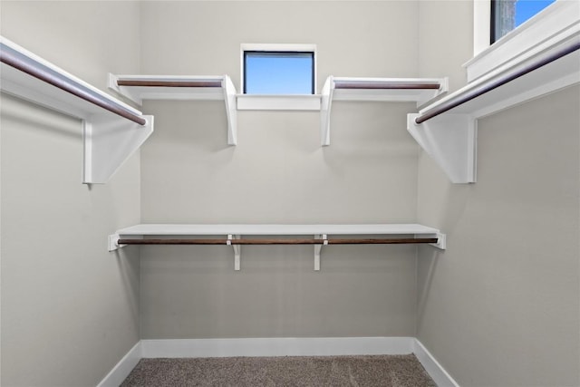 1017 Sue Ann Rose Dr, Austin, TX 78717 - walk in closet featuring carpet floors