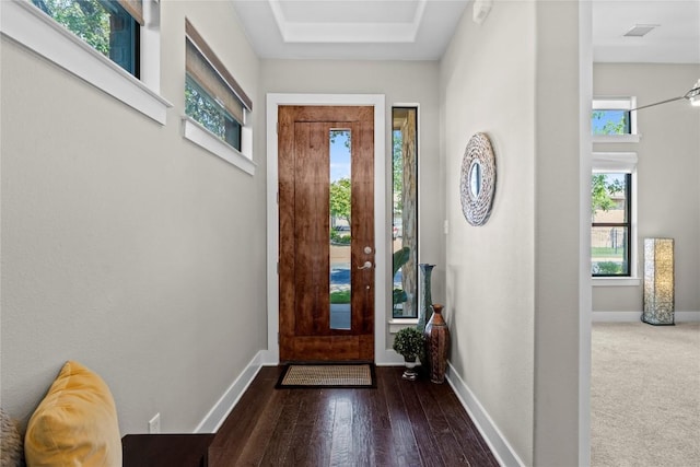 1017 Sue Ann Rose Dr, Austin, TX 78717 - foyer with baseboards and wood finished floors