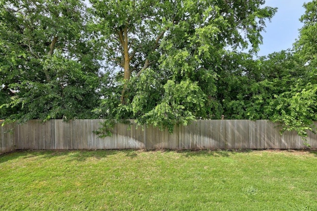 3109 Windy Vane Dr, Pflugerville, TX 78660 - view of yard