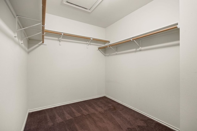 12303 Shropshire Blvd, Austin, TX 78753 - walk in closet featuring dark carpet