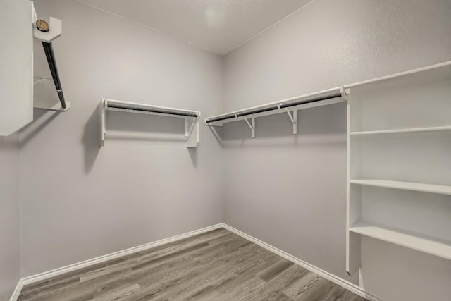 9008 Tall Sky Trce, Austin, TX 78724 - spacious closet featuring wood finished floors