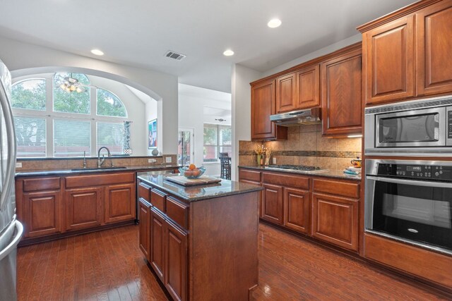 9905 Palmbrook Dr, Austin, TX 78717 - kitchen with stainless steel appliances, a sink, under cabinet range hood, dark wood-style floors, and dark stone counters