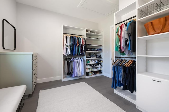 2908 Vista Heights Dr, Leander, TX 78641 - spacious closet featuring wood finished floors