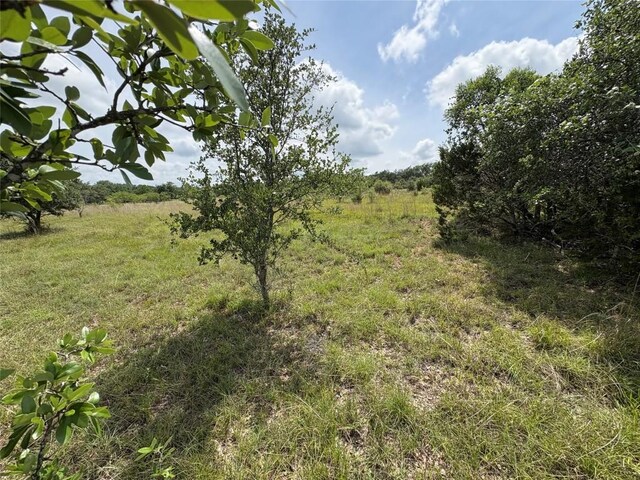 TBD Shovel Mountain Rd, Cypress Mill, TX 78663 - view of nature