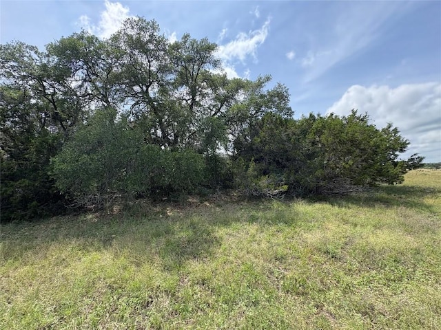 TBD Shovel Mountain Rd, Cypress Mill, TX 78663 - view of undeveloped land