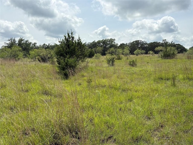TBD Shovel Mountain Rd, Cypress Mill, TX 78663 - view of nature