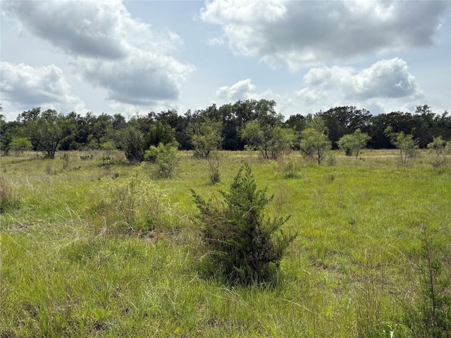 TBD Shovel Mountain Rd, Cypress Mill, TX 78663 - view of undeveloped land with rural landscape
