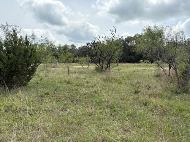 TBD Shovel Mountain Rd, Cypress Mill, TX 78663 - view of undeveloped land featuring rural landscape