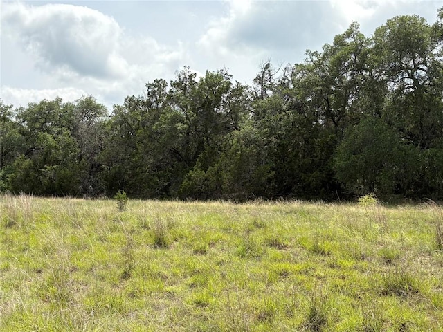 TBD Shovel Mountain Rd, Cypress Mill, TX 78663 - view of tree filled area