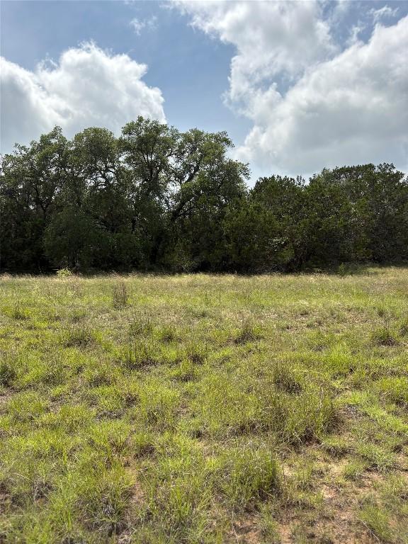TBD Shovel Mountain Rd, Cypress Mill, TX 78663 - view of local wilderness