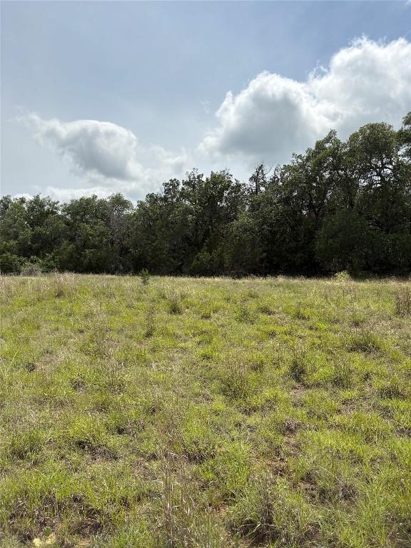 TBD Shovel Mountain Rd, Cypress Mill, TX 78663 - view of nature