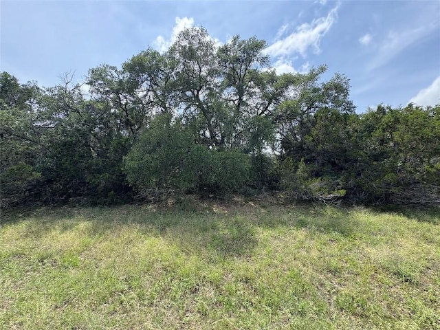TBD Shovel Mountain Rd, Cypress Mill, TX 78663 - view of nature