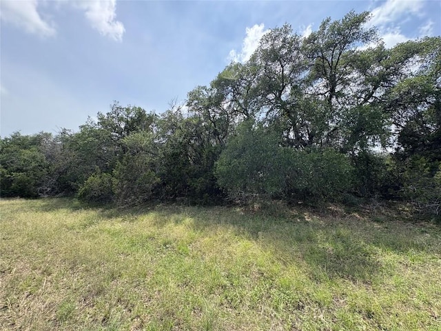 TBD Shovel Mountain Rd, Cypress Mill, TX 78663 - view of tree filled area