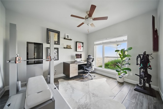941 Linden Loop, Driftwood, TX 78619 - office space featuring ceiling fan and wood finished floors