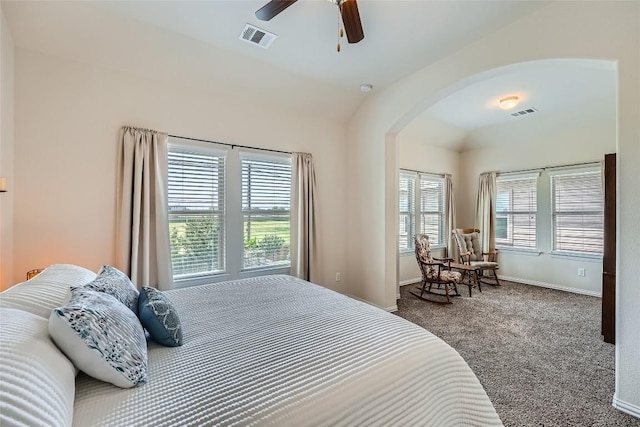 2712 Auburn Chestnut Ln, Pflugerville, TX 78660 - bedroom with arched walkways, vaulted ceiling, carpet flooring, baseboards, and a ceiling fan