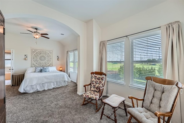 2712 Auburn Chestnut Ln, Pflugerville, TX 78660 - carpeted bedroom featuring arched walkways, baseboards, and vaulted ceiling