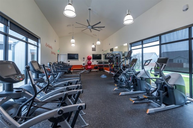 200 Wild Sage Ln, Liberty Hill, TX 78642 - workout area featuring a ceiling fan, plenty of natural light, and high vaulted ceiling