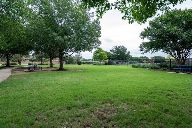 163 Wainscot Oak Way, San Marcos, TX 78666 - view of yard