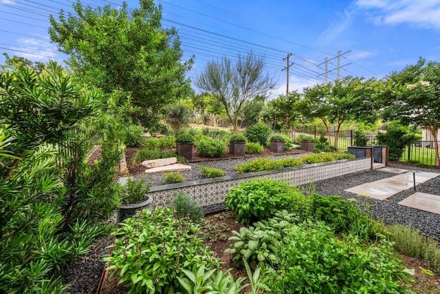121 Cartwheel Bnd Unit 42, Austin, TX 78738 - view of yard