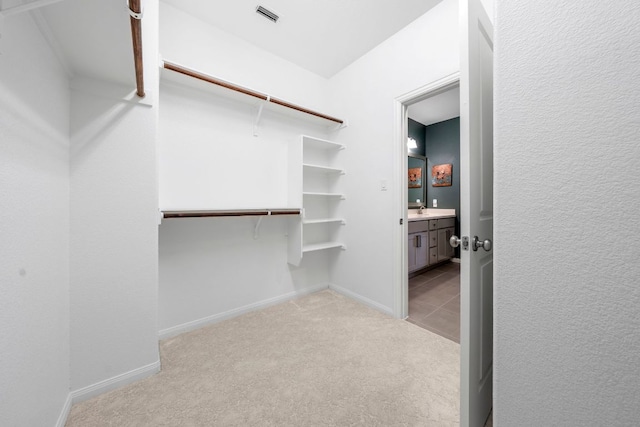 121 Cartwheel Bnd Unit 42, Austin, TX 78738 - spacious closet featuring light colored carpet and a sink
