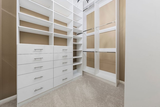 121 Cartwheel Bnd Unit 42, Austin, TX 78738 - walk in closet with carpet