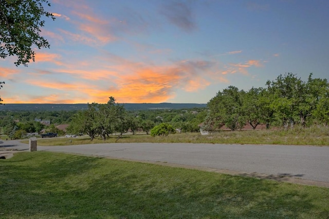 820 Morgan Hill Dr, Dripping Springs, TX 78620 - view of asphalt road