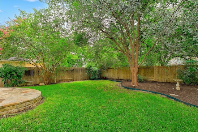 2021 Kimbrook Dr, Round Rock, TX 78681 - view of yard