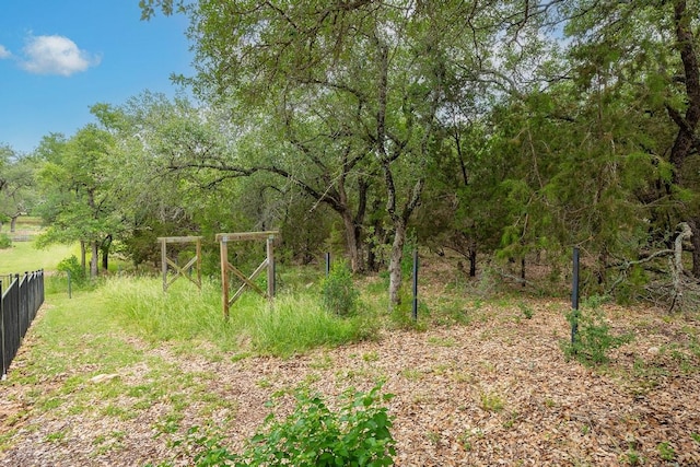 120 E Rustle Cv, Georgetown, TX 78628 - photo 10