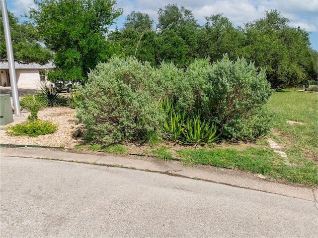 120 E Rustle Cv, Georgetown, TX 78628 - photo 25