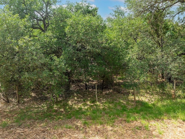 120 E Rustle Cv, Georgetown, TX 78628 - photo 15