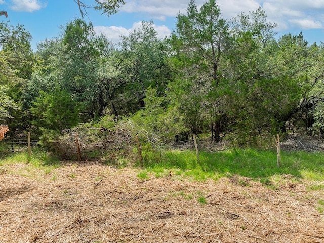 120 E Rustle Cv, Georgetown, TX 78628 - photo 16