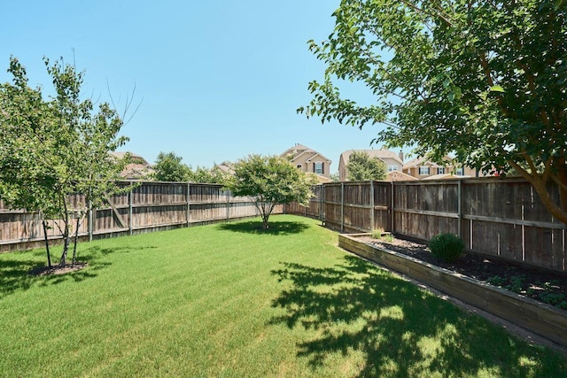 144 Holstein St, Hutto, TX 78634 - view of fenced backyard