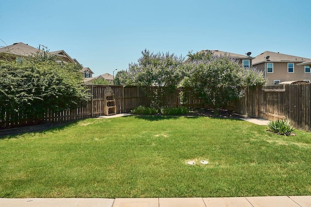 144 Holstein St, Hutto, TX 78634 - fenced backyard featuring a residential view