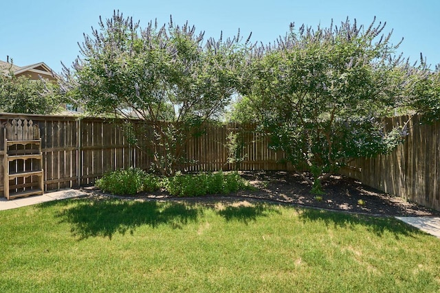 144 Holstein St, Hutto, TX 78634 - view of fenced backyard