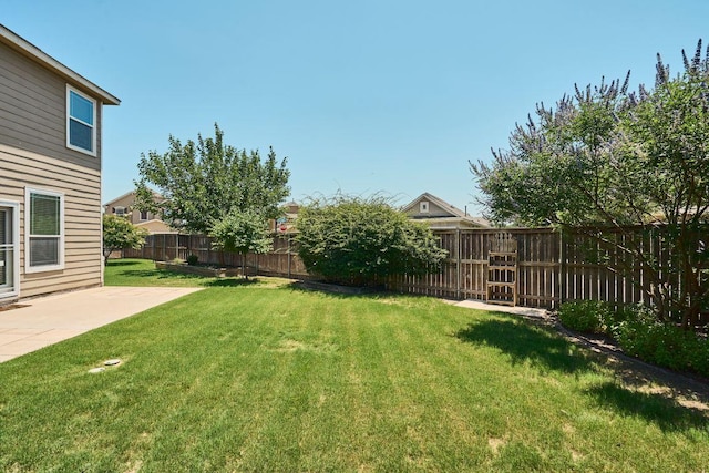 144 Holstein St, Hutto, TX 78634 - fenced backyard featuring a patio area