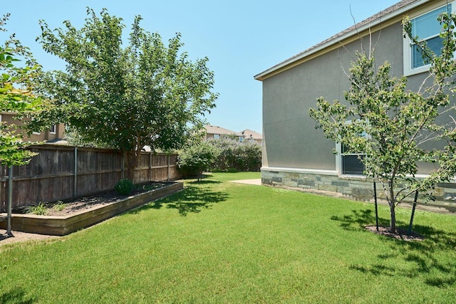 144 Holstein St, Hutto, TX 78634 - view of yard