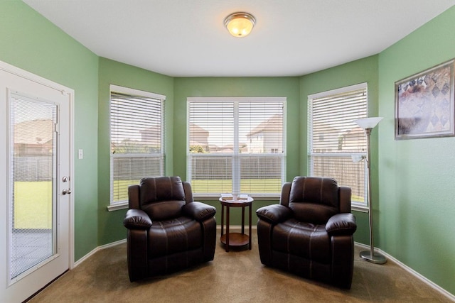 18401 Pencil Cactus Dr, Pflugerville, TX 78660 - living area with carpet