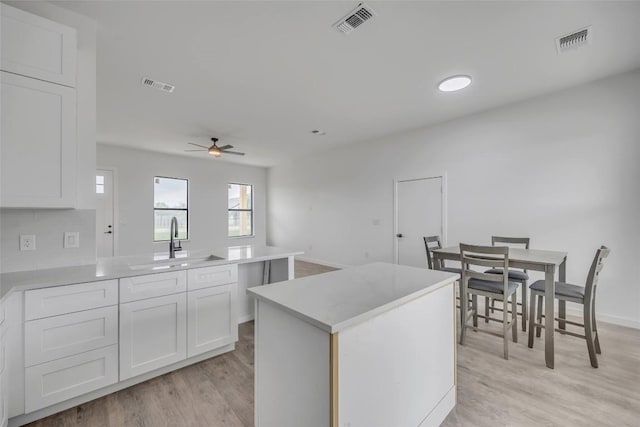 138 Blushing Dr, Cedar Creek, TX 78612 - kitchen with a sink, light wood-type flooring, white cabinetry, a ceiling fan, and light countertops
