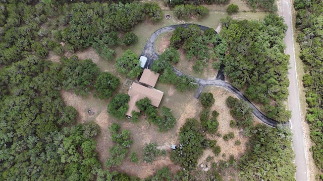 721 Deer Run, Wimberley, TX 78676 - aerial view of property's location