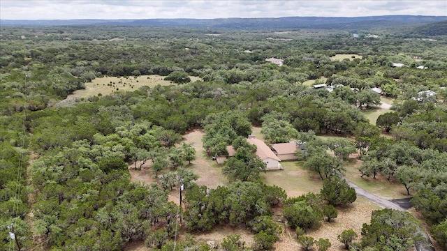 721 Deer Run, Wimberley, TX 78676 - aerial overview of property's location with a forest