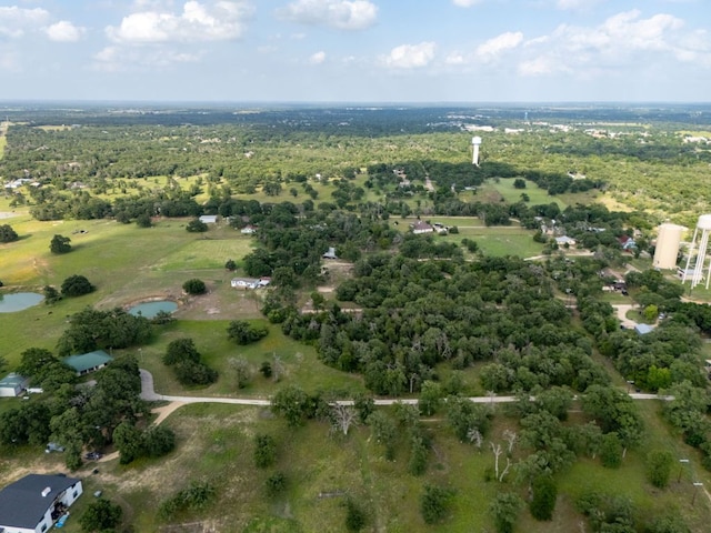 570 Oak Park Five St, Rockdale, TX 76567 - bird's eye view of a nearby body of water