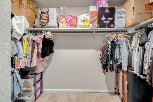 19413 Abigail Fillmore Rd, Manor, TX 78653 - spacious closet with carpet flooring
