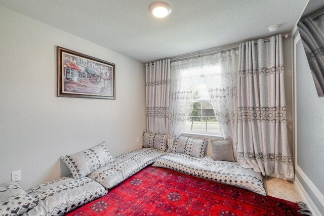 19413 Abigail Fillmore Rd, Manor, TX 78653 - living area with a textured ceiling and carpet floors