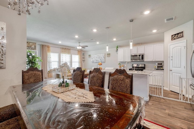 19413 Abigail Fillmore Rd, Manor, TX 78653 - photo 10
