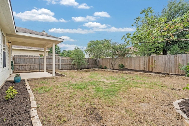 8520 Chick Pea Ln, Austin, TX 78748 - view of yard featuring a patio area
