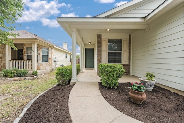 8520 Chick Pea Ln, Austin, TX 78748 - property entrance featuring a porch