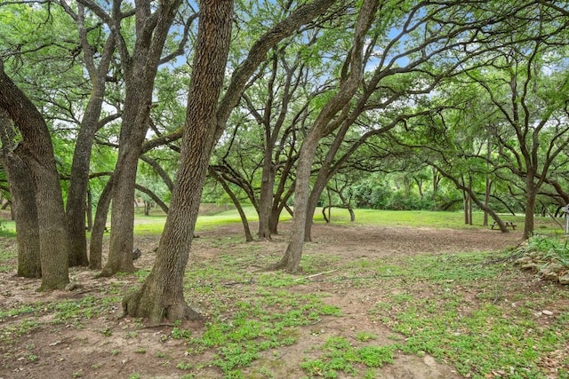 4116 Creek Ledge Unit 108, Austin, TX 78731 - view of yard