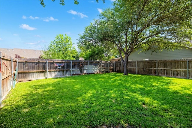 134 Prairie Springs Cv, Georgetown, TX 78626 - photo 34